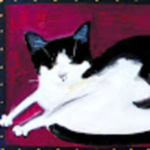 Meet your Posher, Patricia